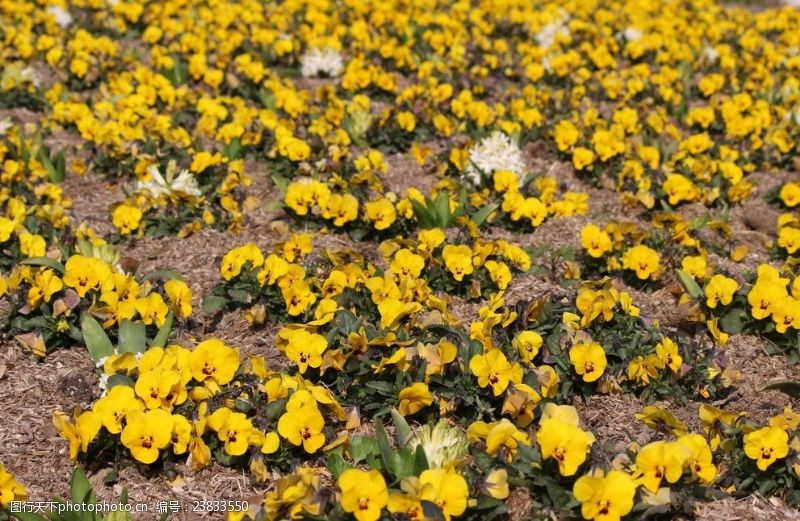 天津文旅资讯服务系统